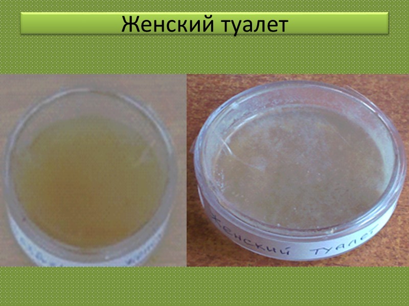 Женский туалет